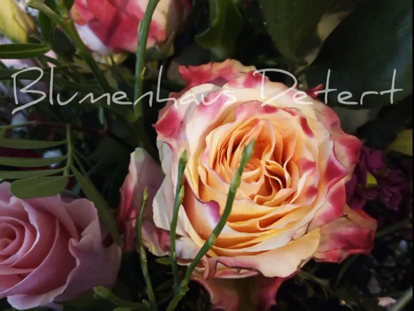 Bild 1: Blumenhaus Carsten Detert